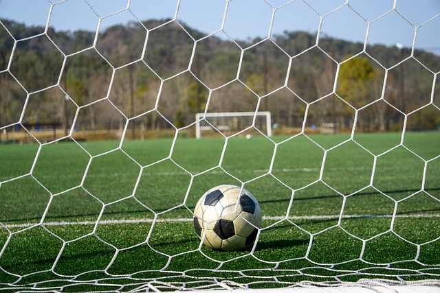 中職／兄弟投打近況都勝過獅 可望強勢奪下冠軍.