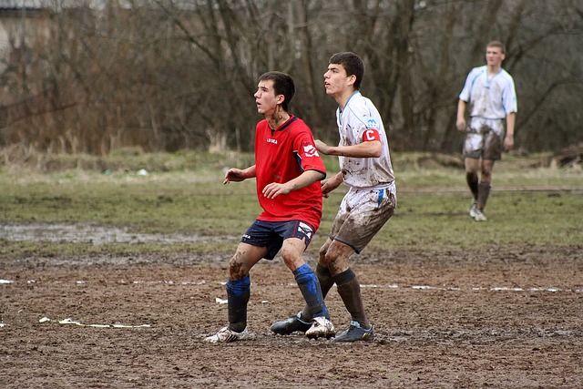 麦卡蒂同样 麦卡蒂同样
