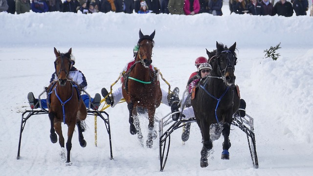 那一刻注定 那一刻注定
