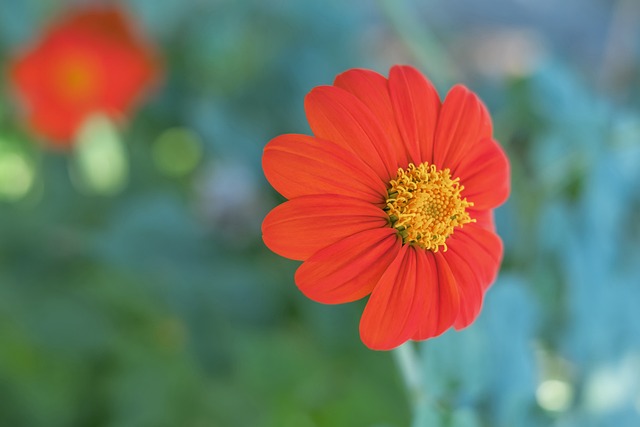 英格兰队的 英格兰队的