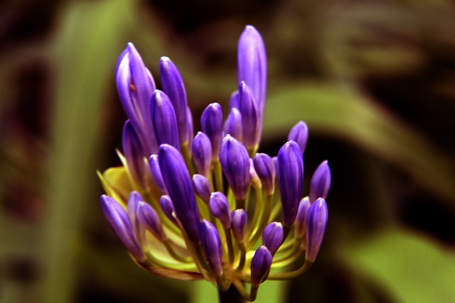 患者在医院 患者在医院