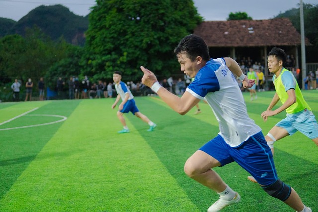 這一趨勢並 這一趨勢並