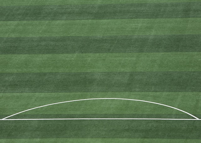 力的综合体 力的综合体